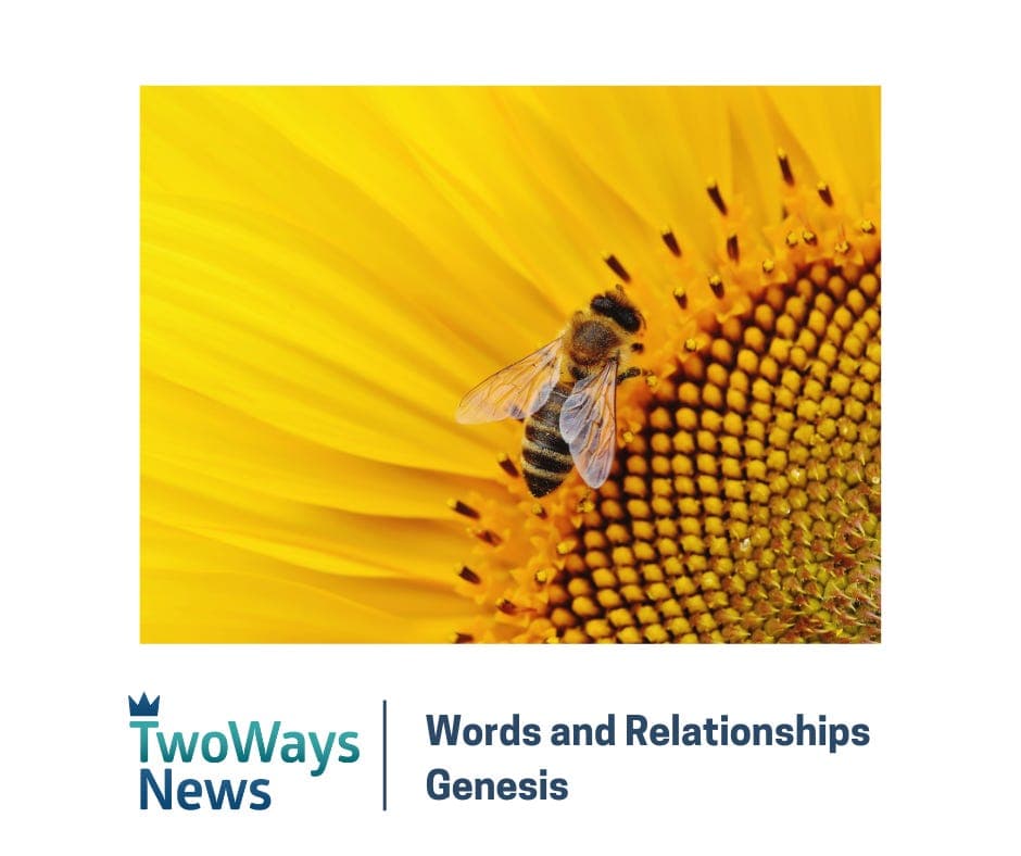 Words and Relationships