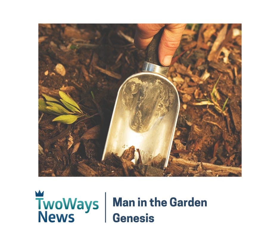 Man in the Garden