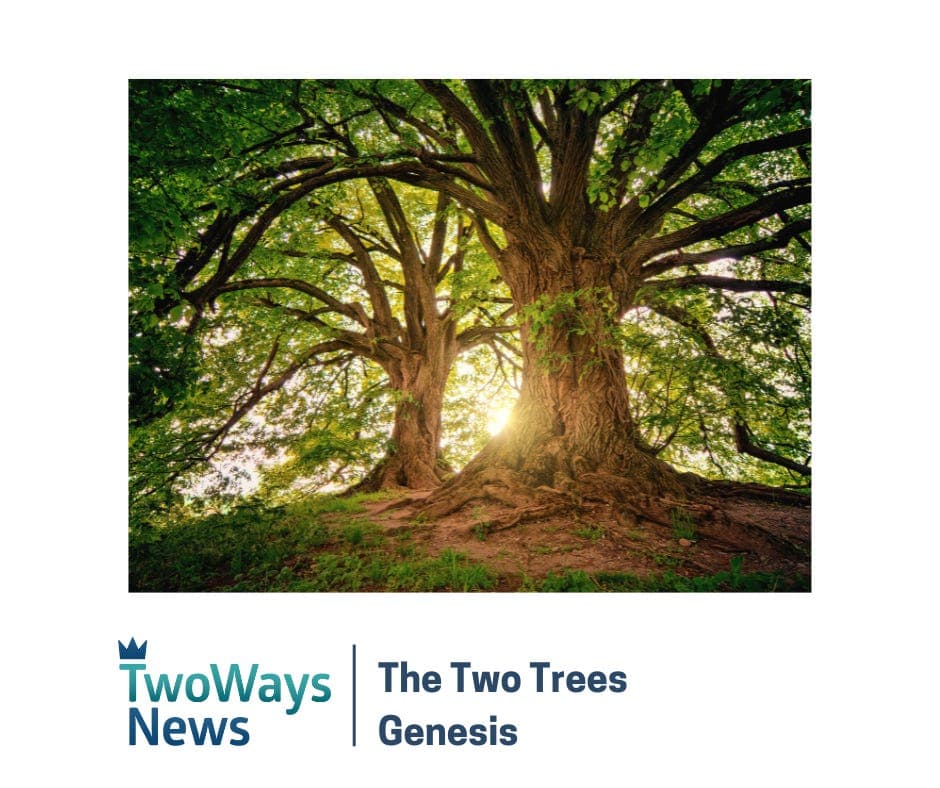The Two Trees