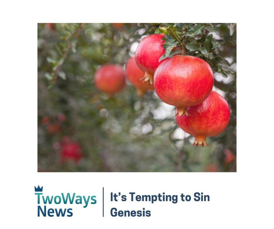 It's Tempting to Sin