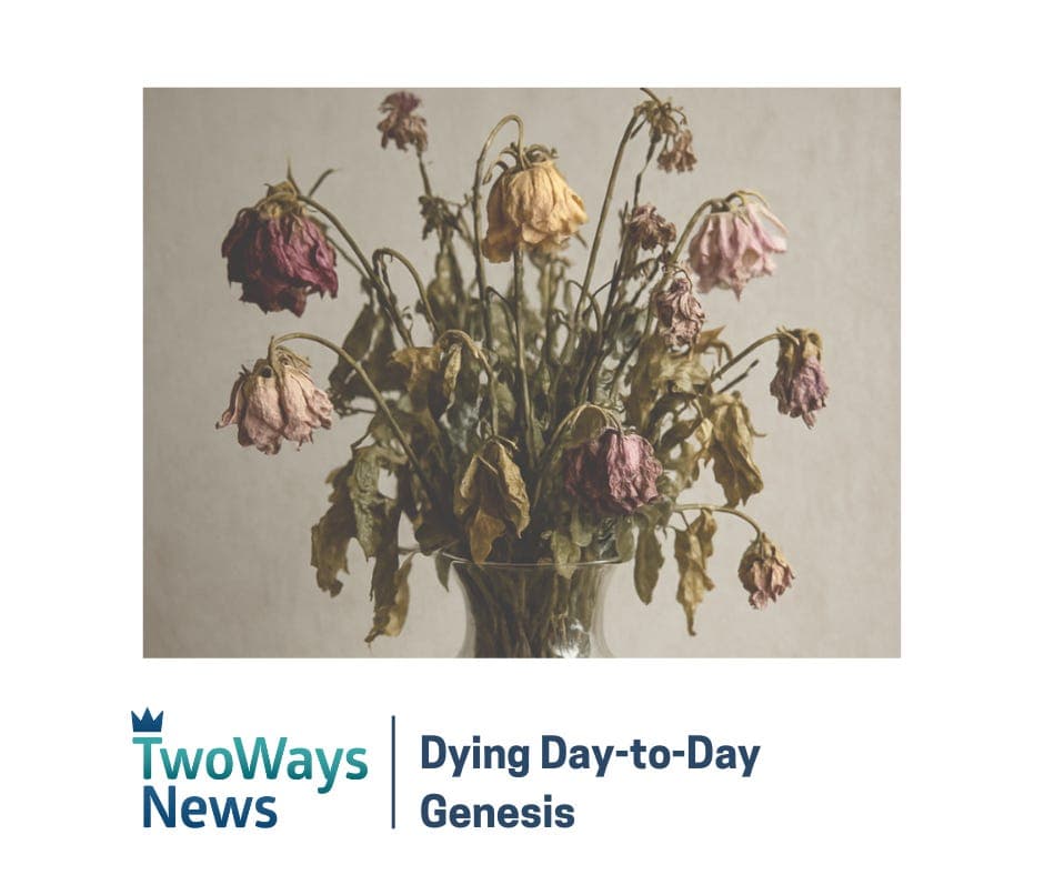 Dying Day-to-Day