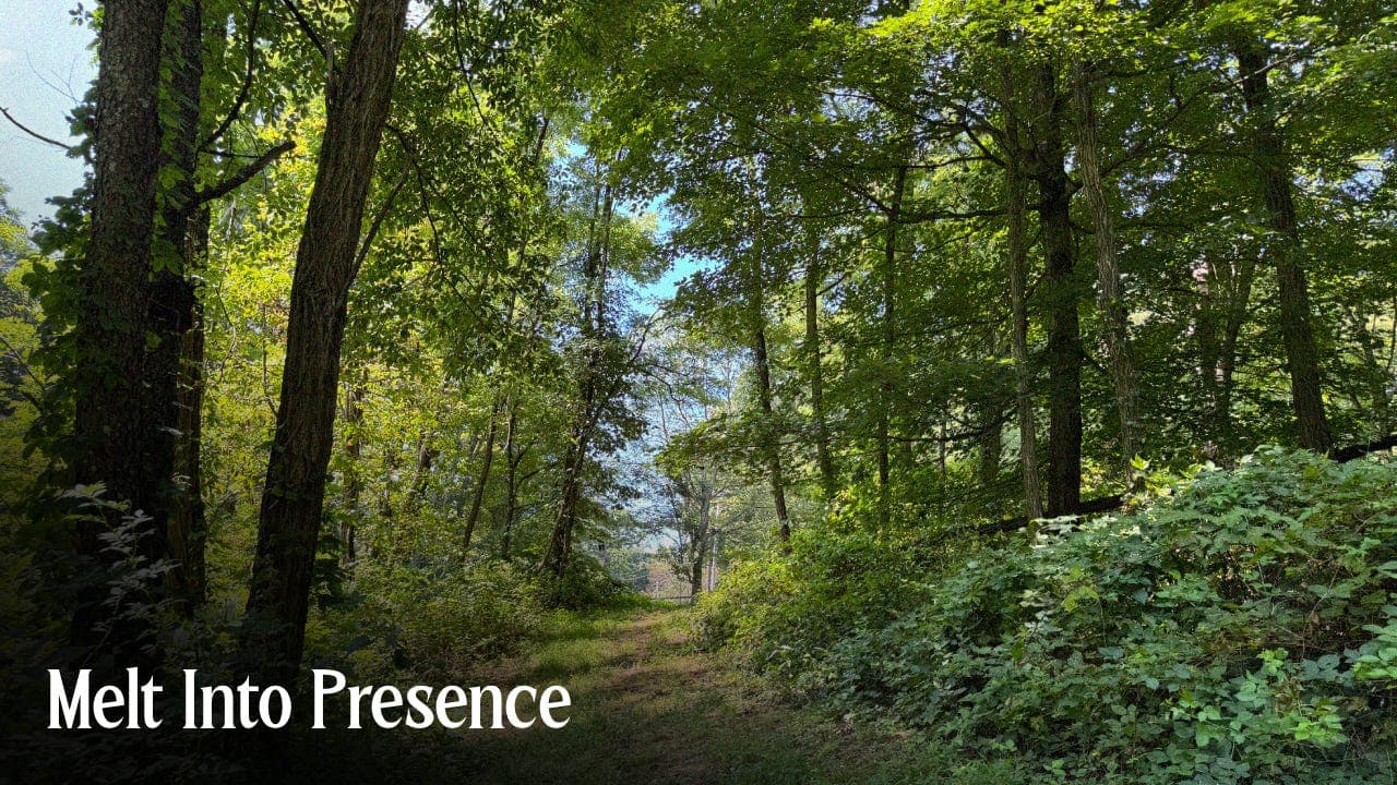 Melt Into Presence: a 37 Minute Grounding Meditation