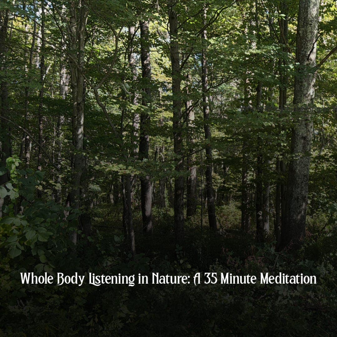 Whole Body Listening in Nature: A 35 Minute Meditation