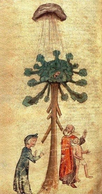 Purgatorio: Canto 22