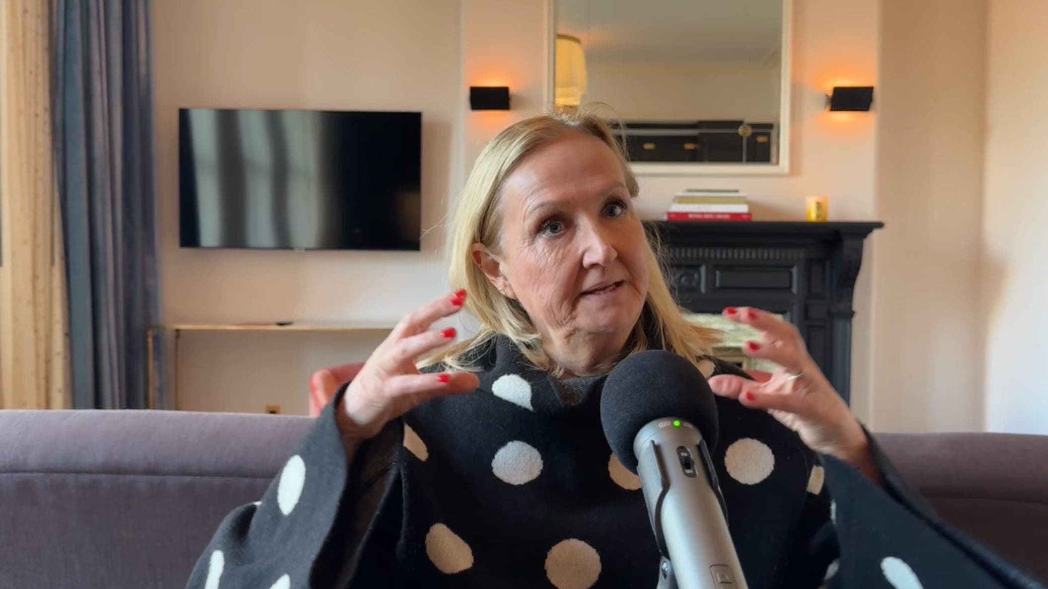 The Materialist : Sally Morrison