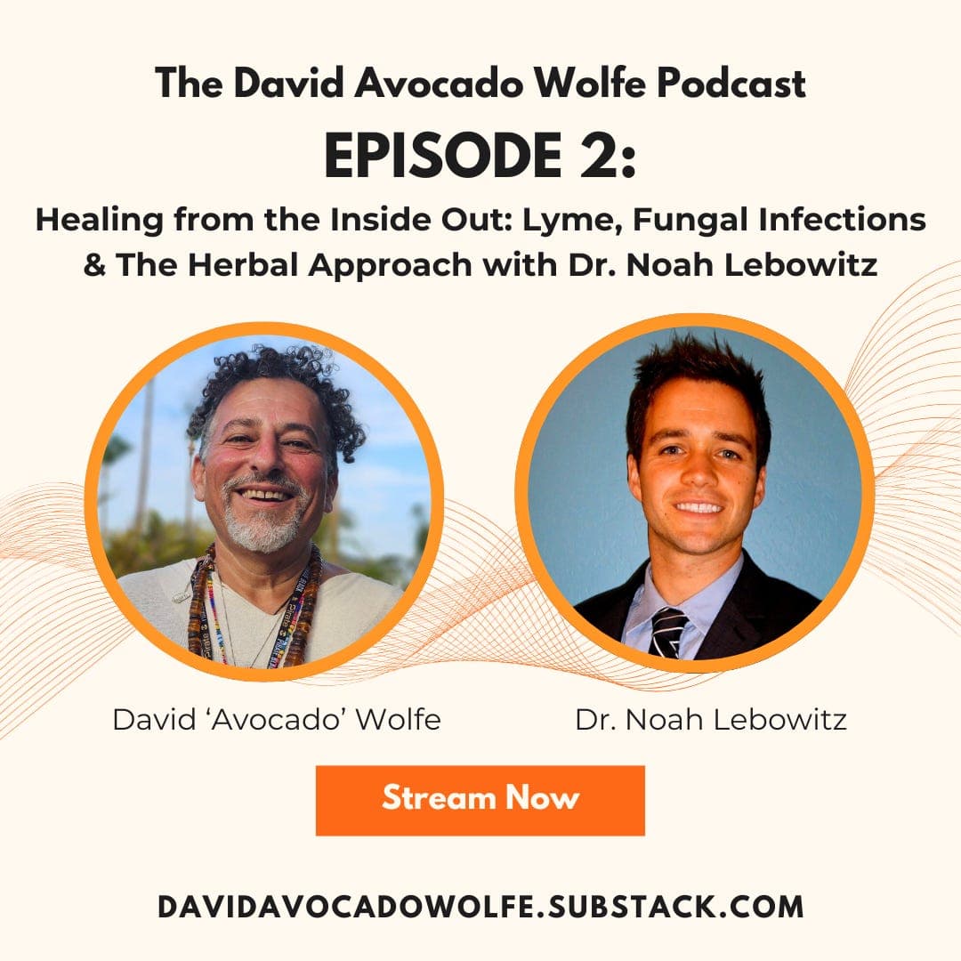 Episode 2: Healing from the Inside Out: Lyme, Fungal Infections & The Herbal Approach with Dr. Noah Lebowitz