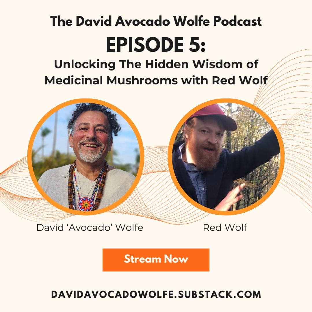 Episode 5: Unlocking The Hidden Wisdom of Medicinal Mushrooms with Red Wolf