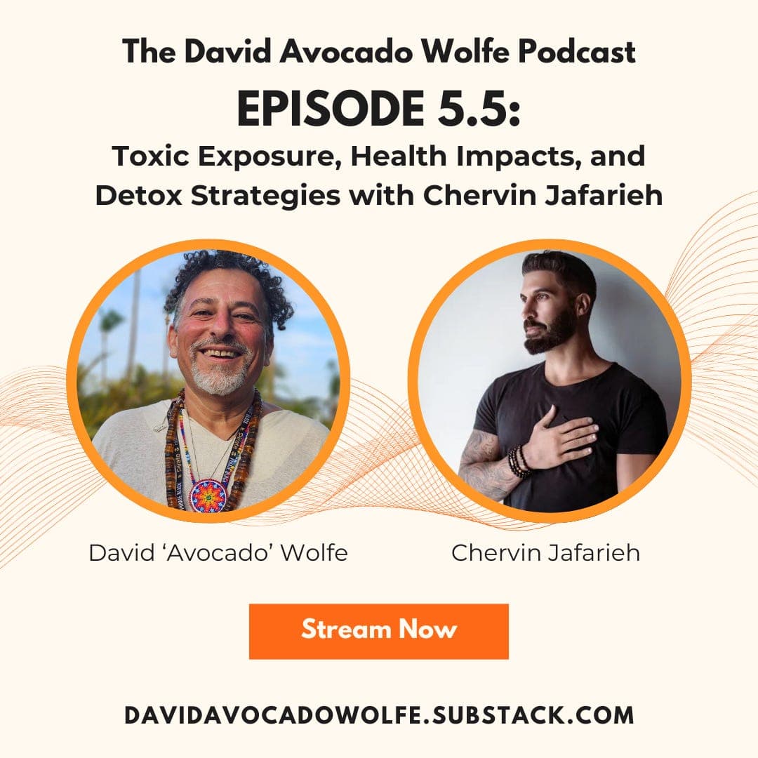 Episode 5.5: Fires in Los Angeles – Toxic Exposure, Health Impacts, and Detox Strategies with Chervin Jafarieh
