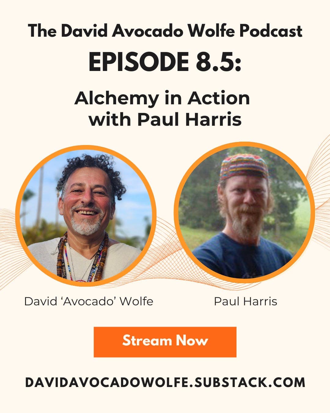 Episode 8.5: Alchemy in Action with Paul Harris