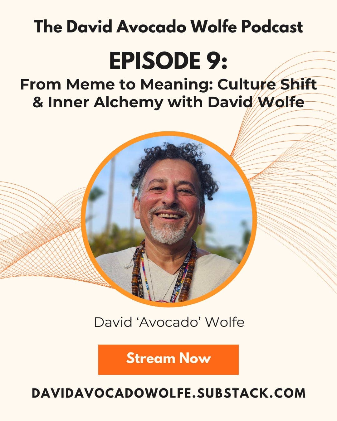 Episode 9: From Meme to Meaning: Culture Shift & Inner Alchemy with David Wolfe 