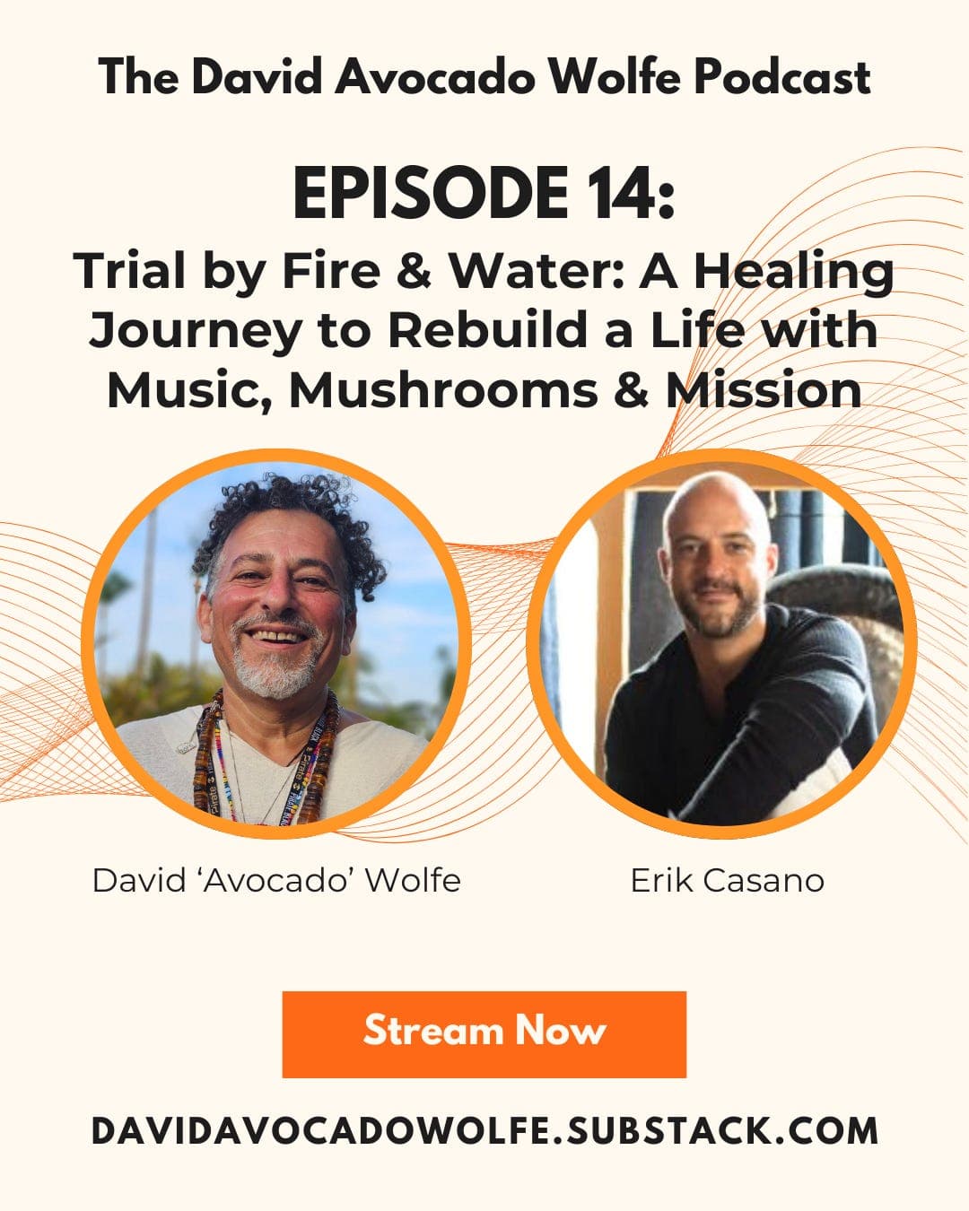 Episode 14: Trial by Fire & Water – A Healing Journey to Rebuild a Life with Music, Mushrooms & Mission with Erik Casano