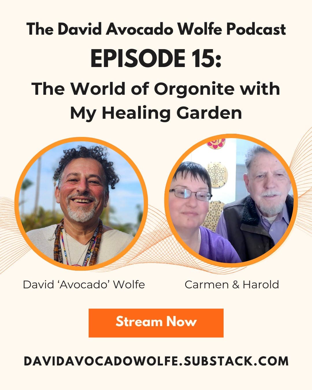 Episode 15: The World of Orgonite with My Healing Garden