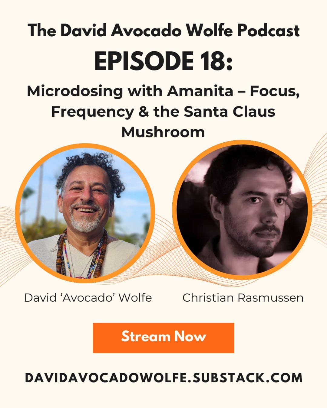 Episode 18: Microdosing with Amanita – Focus, Frequency & the Santa Claus Mushroom