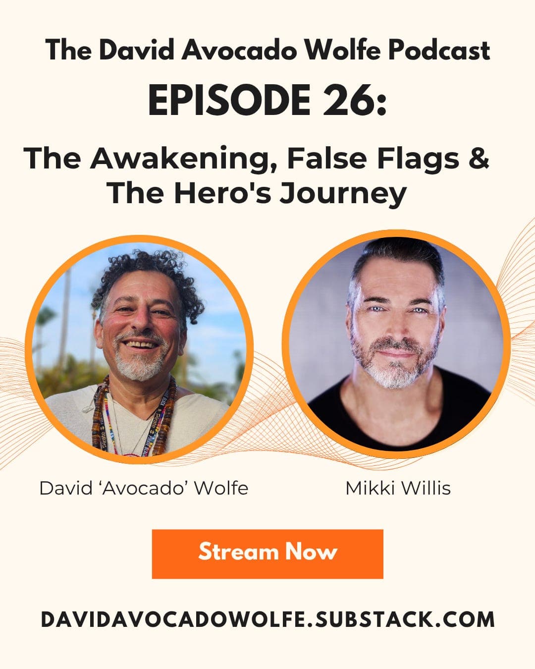Episode 26: The Awakening, False Flags & The Hero's Journey with Mikki Willis