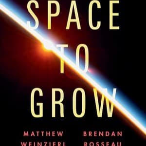 Space Tourism, Hotels, and Joyrides