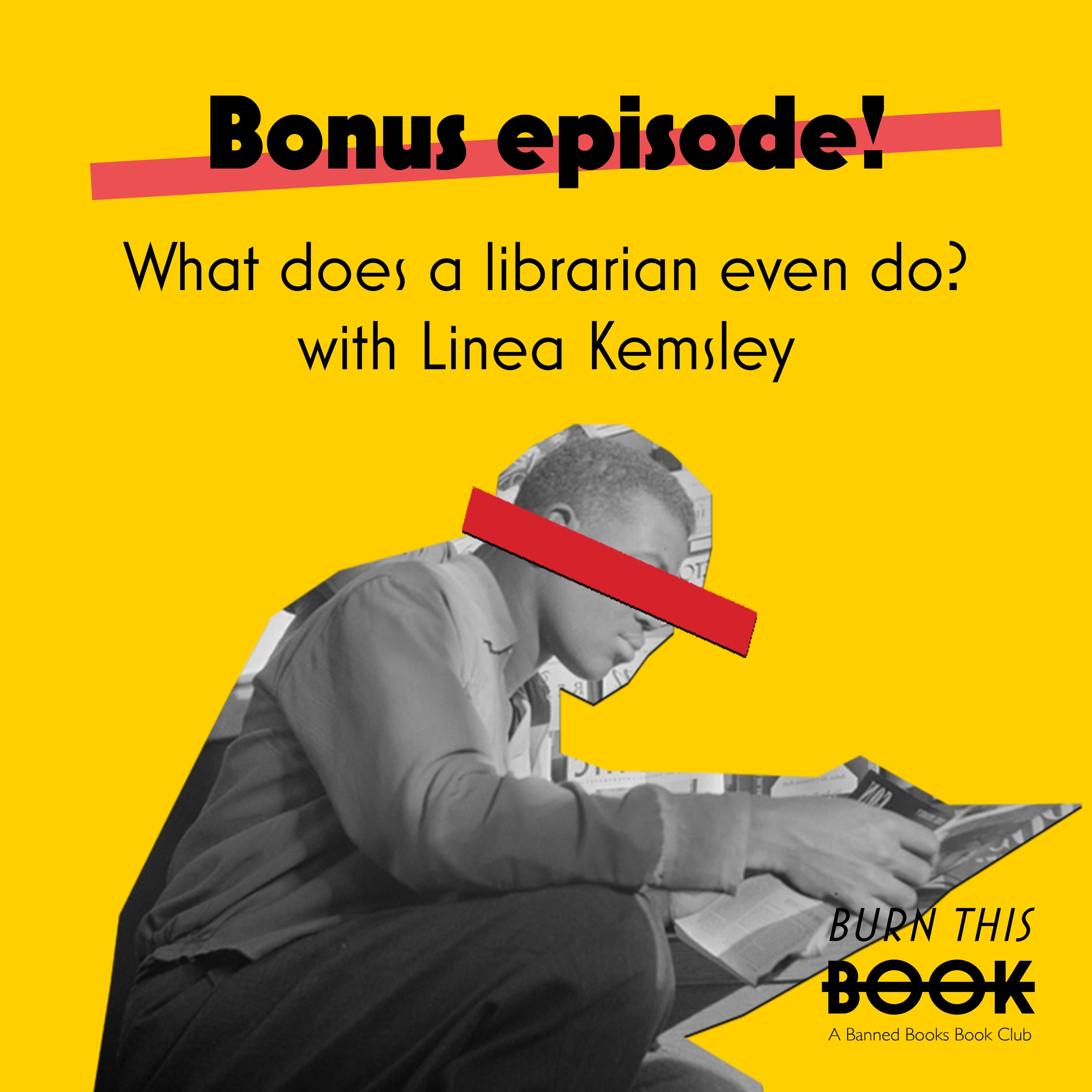 What does a librarian even do? feat. Linea Kemsley
