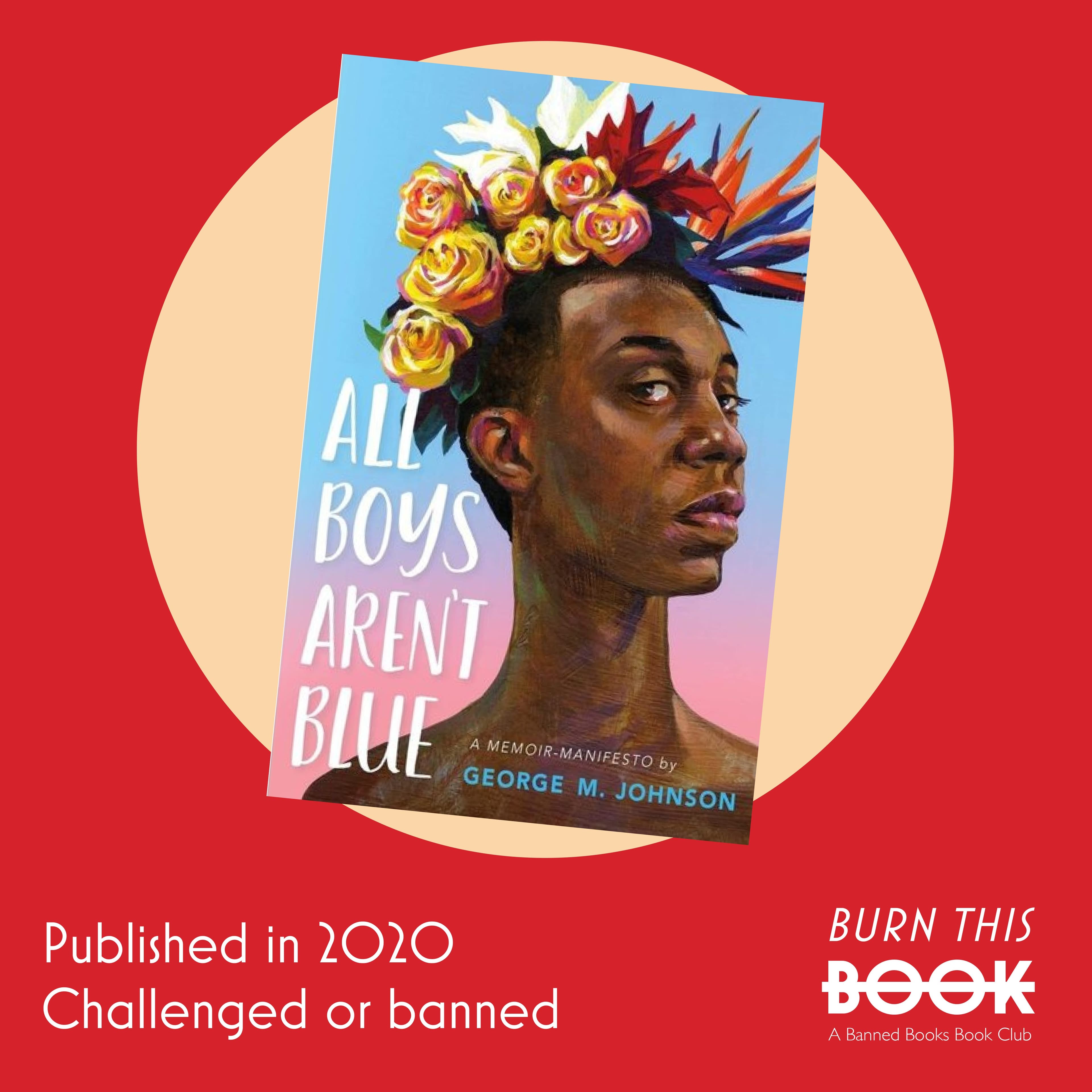 All Boys Aren't Blue, by George M. Johnson (2020)
