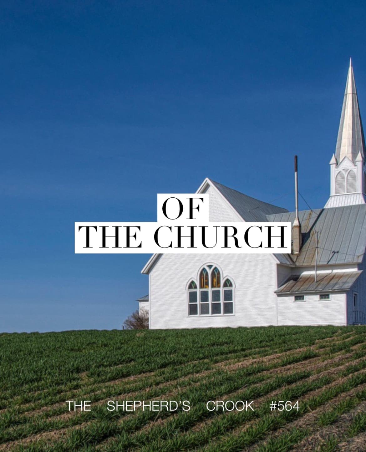 #564 LBC 25 OF The Church