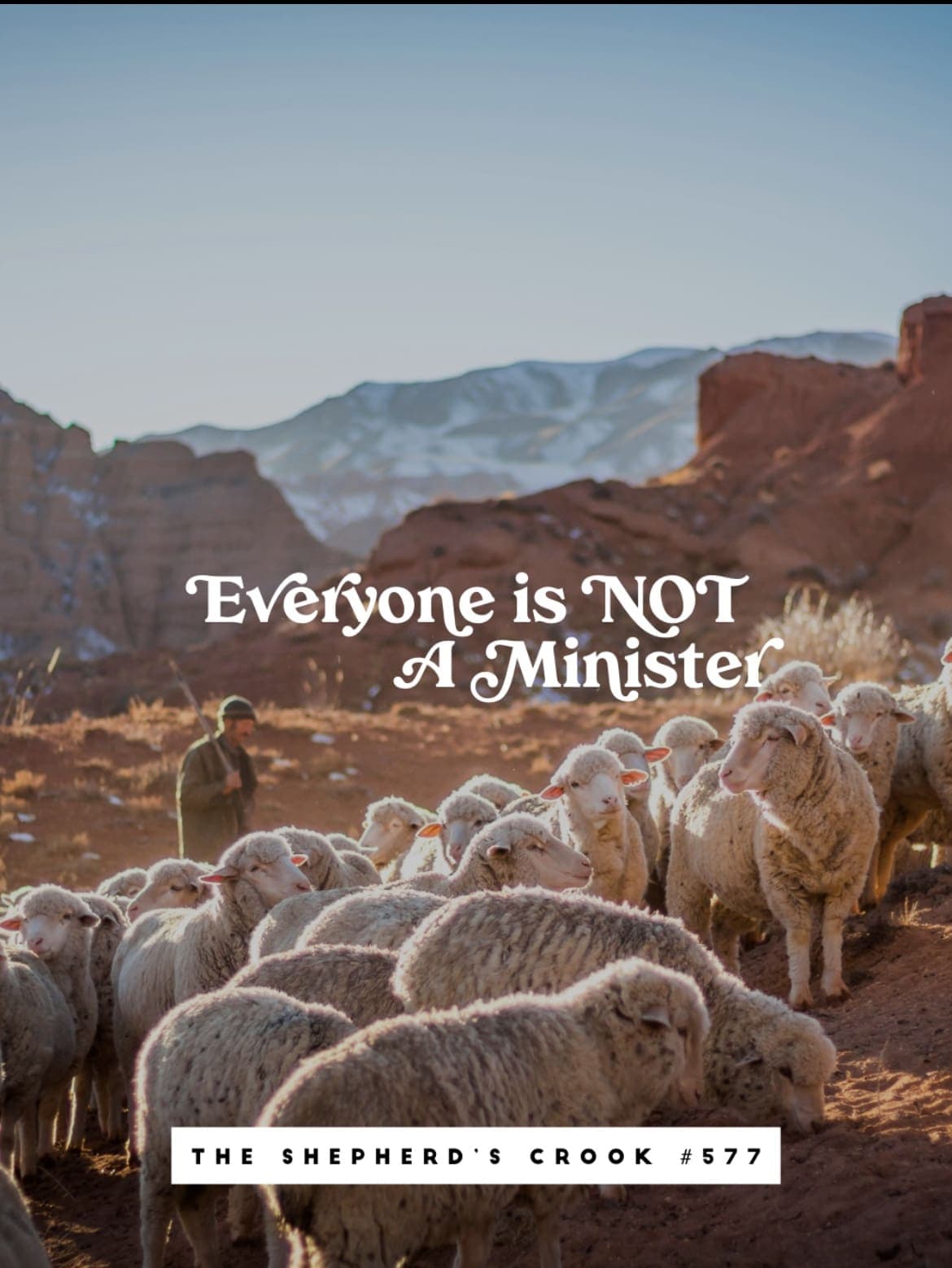 #577 Everyone Is Not A Minister