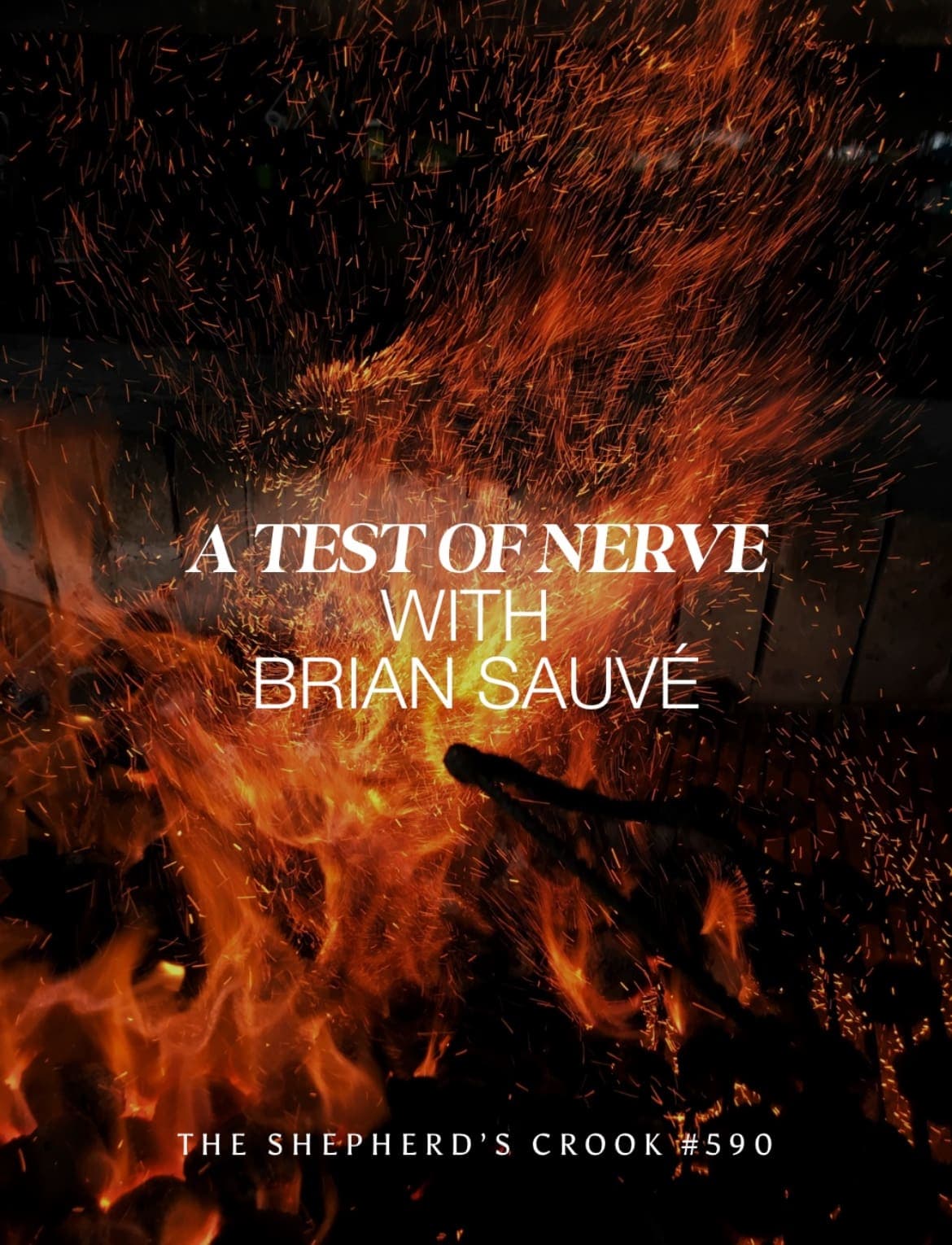 #590 A Test of Nerve with Brian Sauvé