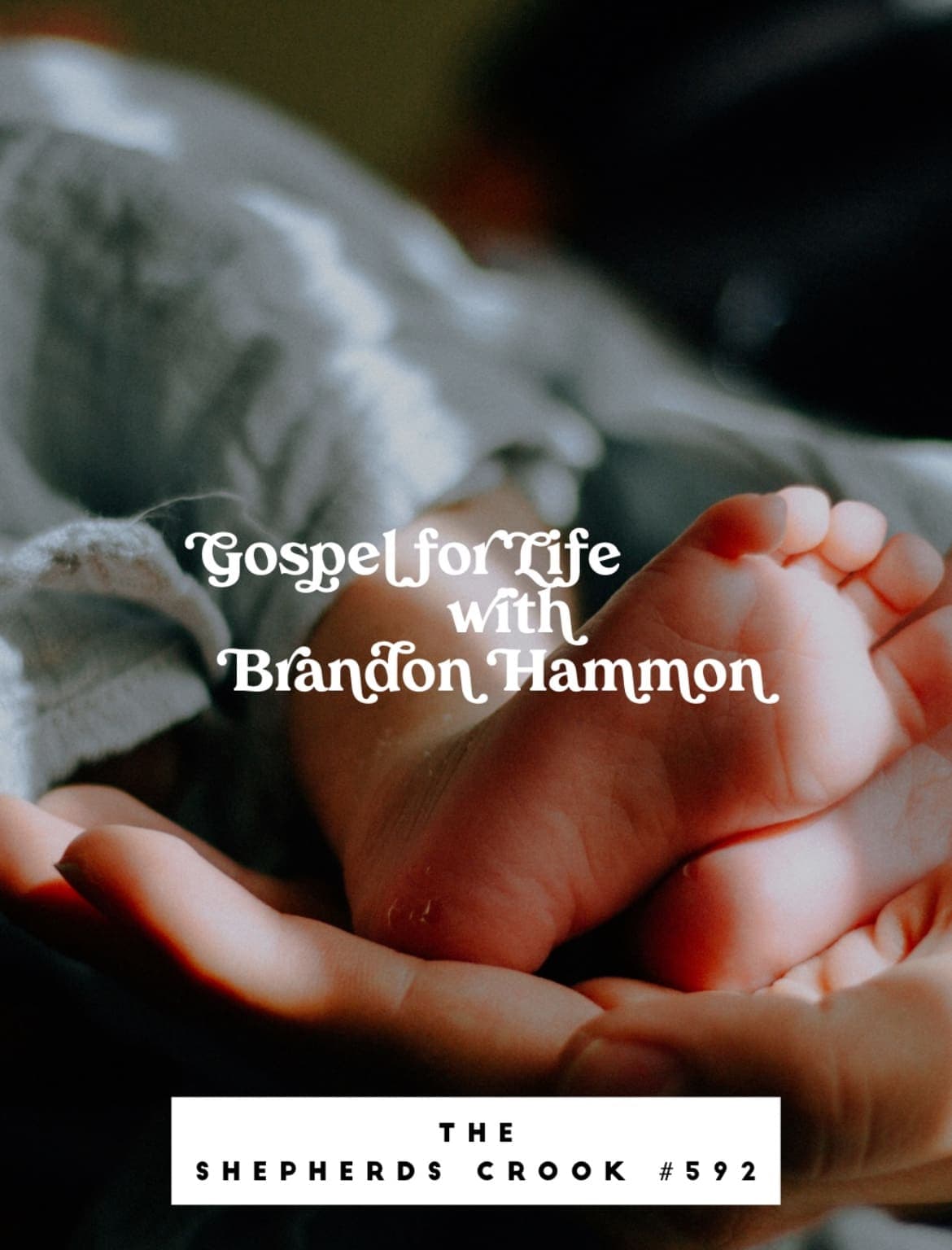 #592 Gospel for Life with Brandon Hamman