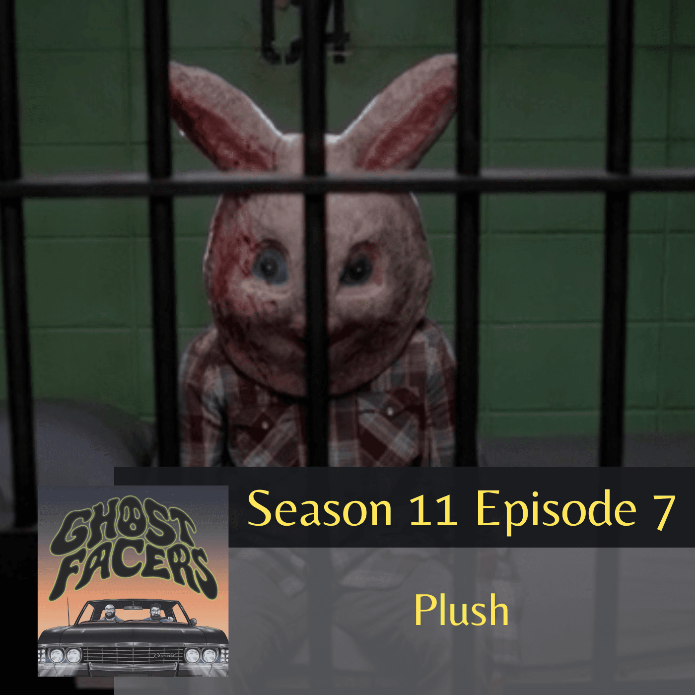 11.07: Plush