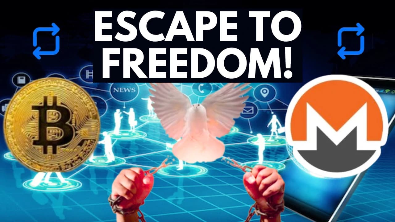 HOW TO ESCAPE FROM THE DIGITAL PRISON THEY ARE BUILDING FOR US WITH BASICSWAPDEX.COM