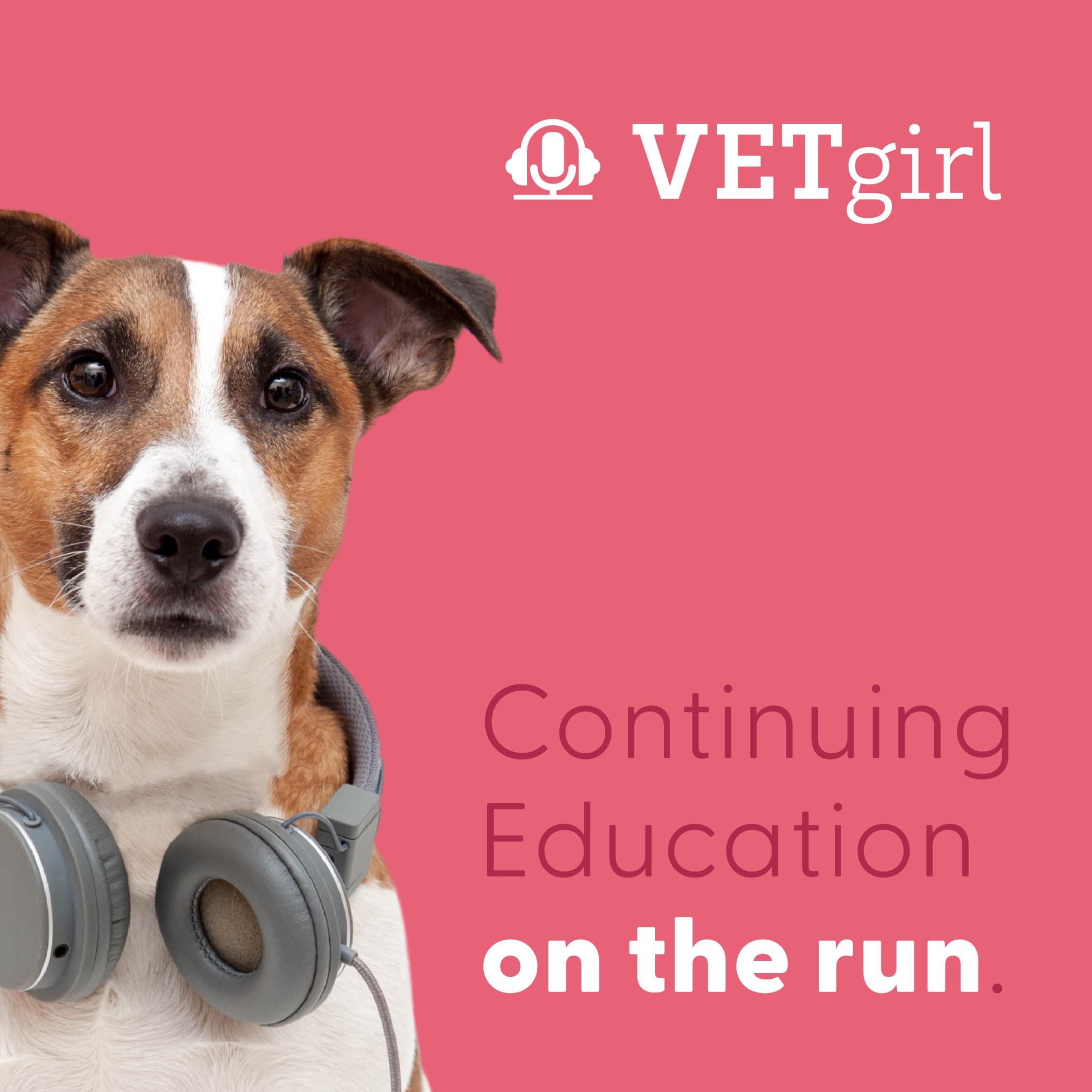 Frequency and Progression of Azotemia During Acute and Chronic Treatment of Congestive Heart Failure in Cats | VETgirl Veterinary Continuing Education Podcasts