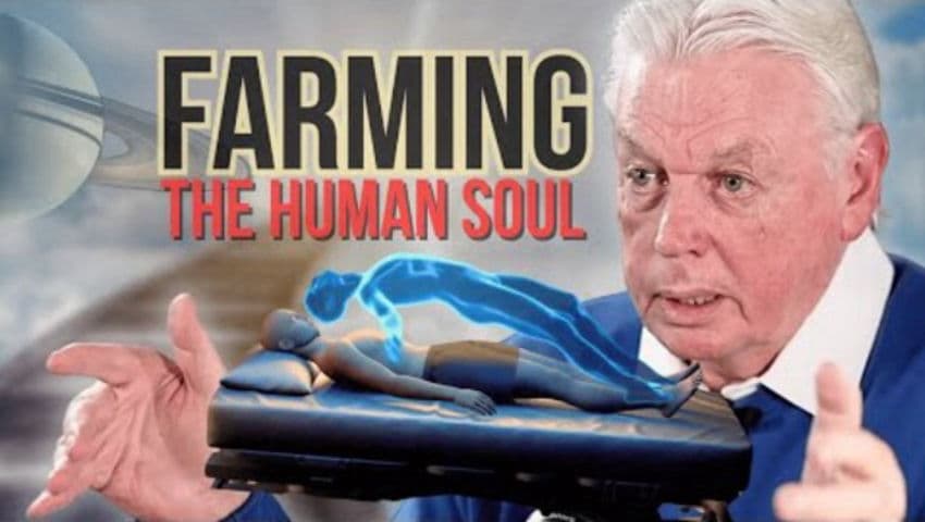 David Icke on Nature of Reality, NDE's & Reincarnation Trap