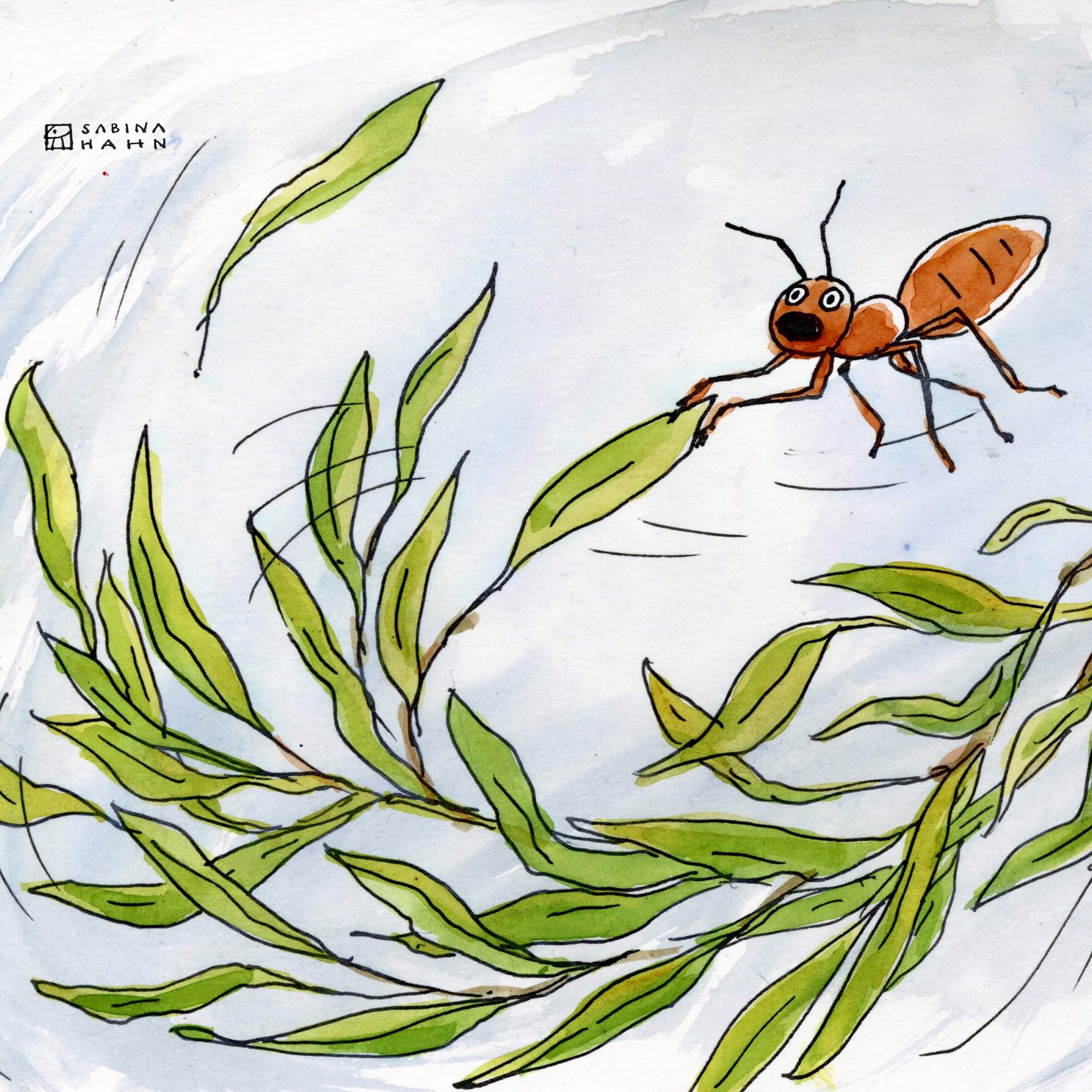 In the Willow Tree | Ep. 283