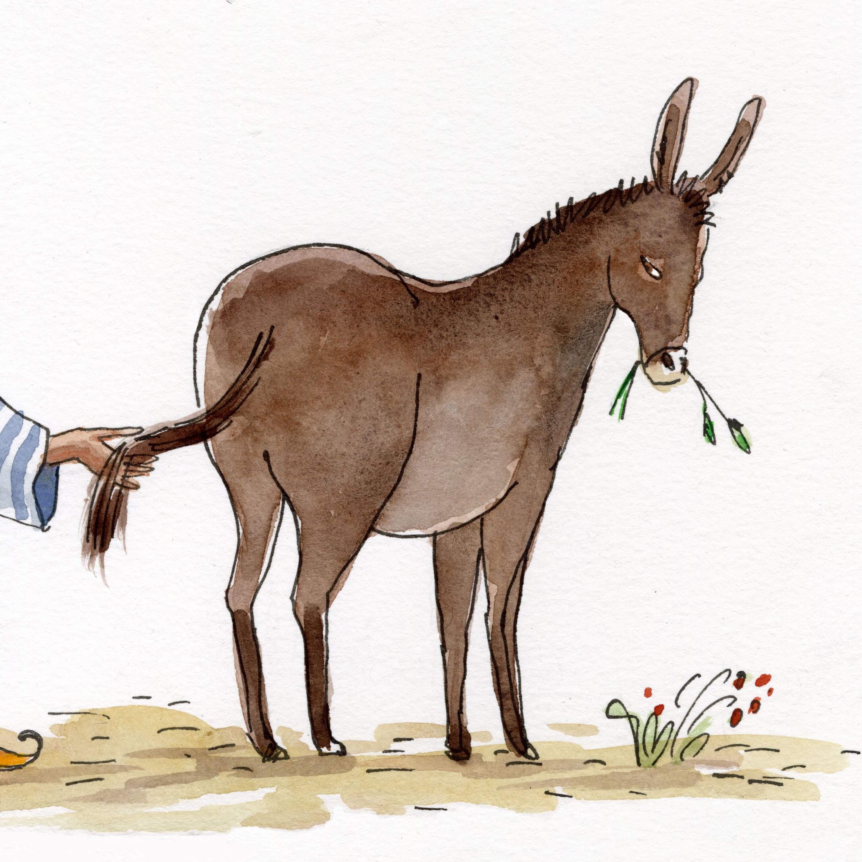The Donkey’s Tail | Ep. 285