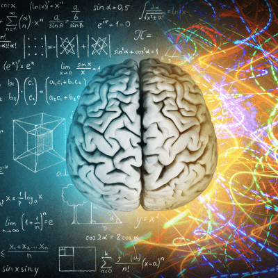 The Brain