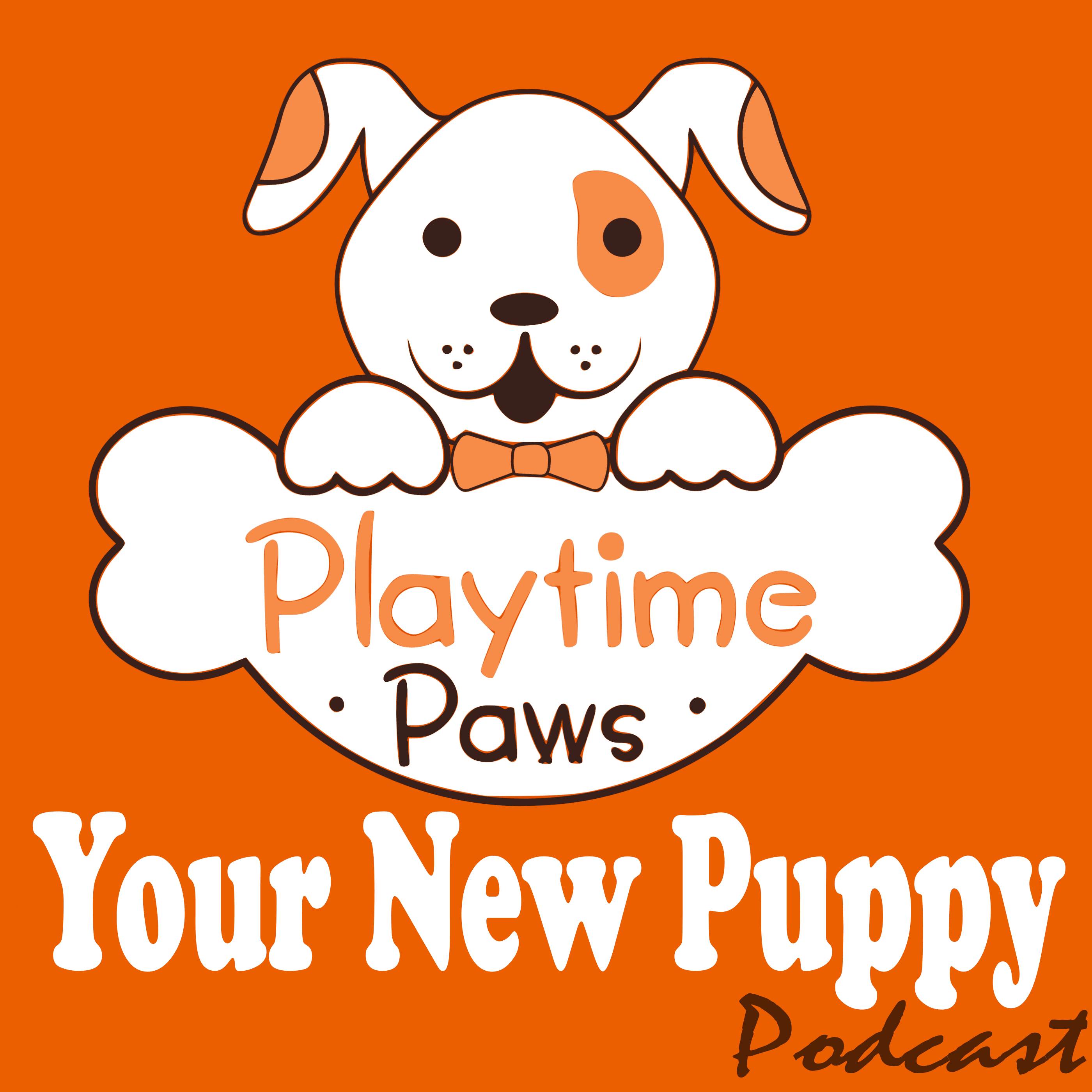 YNP #059: How to Teach Your Dog to Fetch