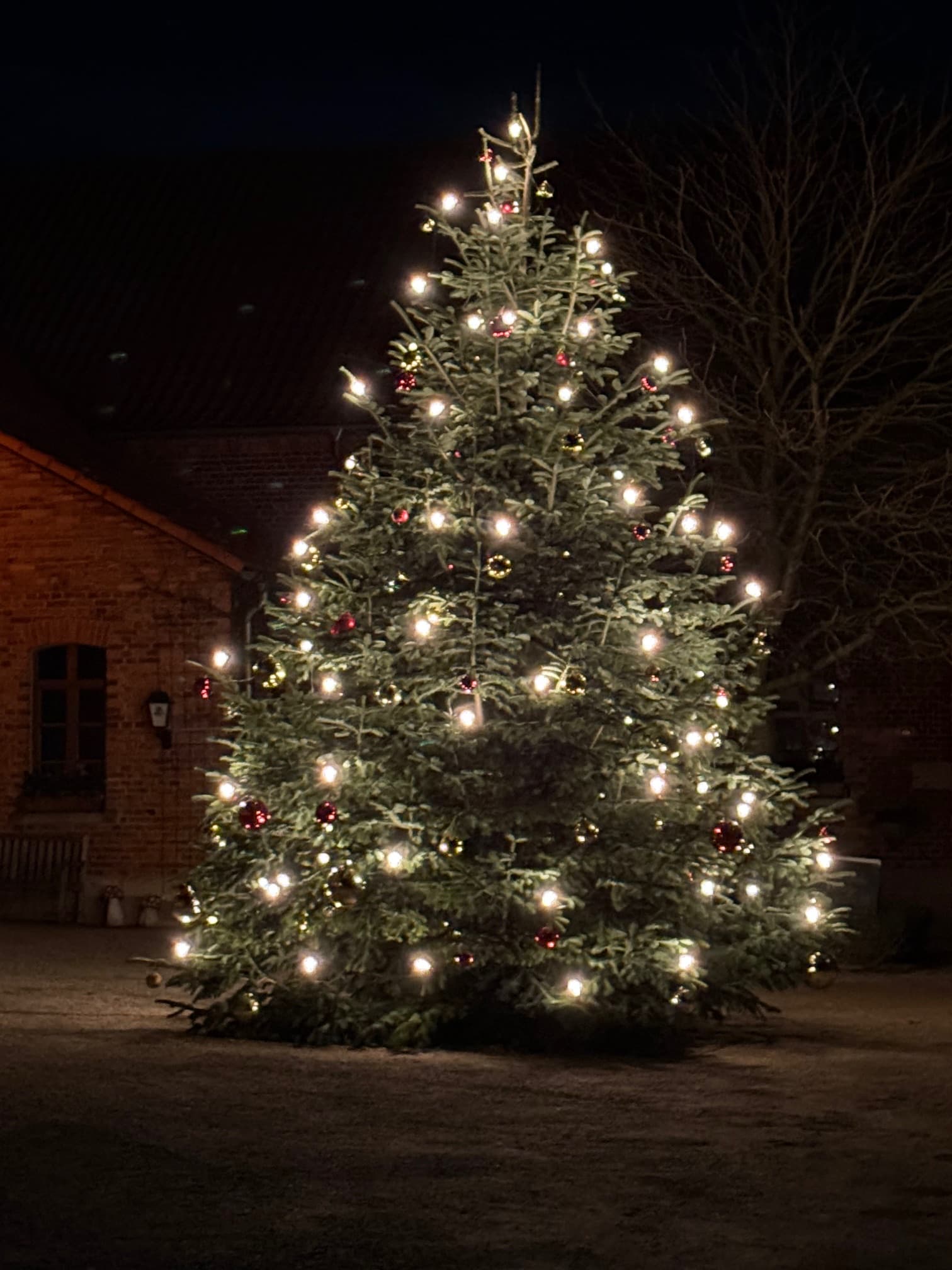 Salzhemmendorf: Weihnachtsmarkt in der Mosterei Ockensen