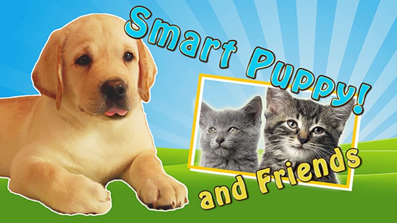 Smart Puppy and Friends Play with Peanuts! 