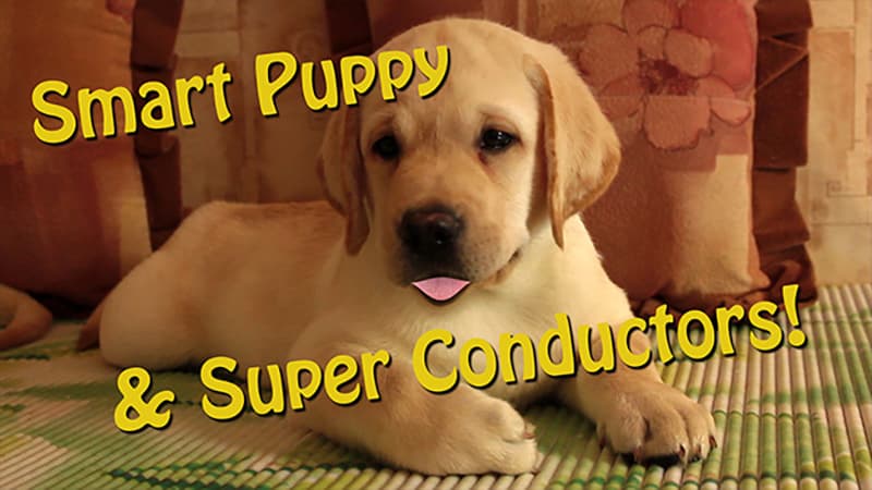 Smart Puppy and Super Conductors