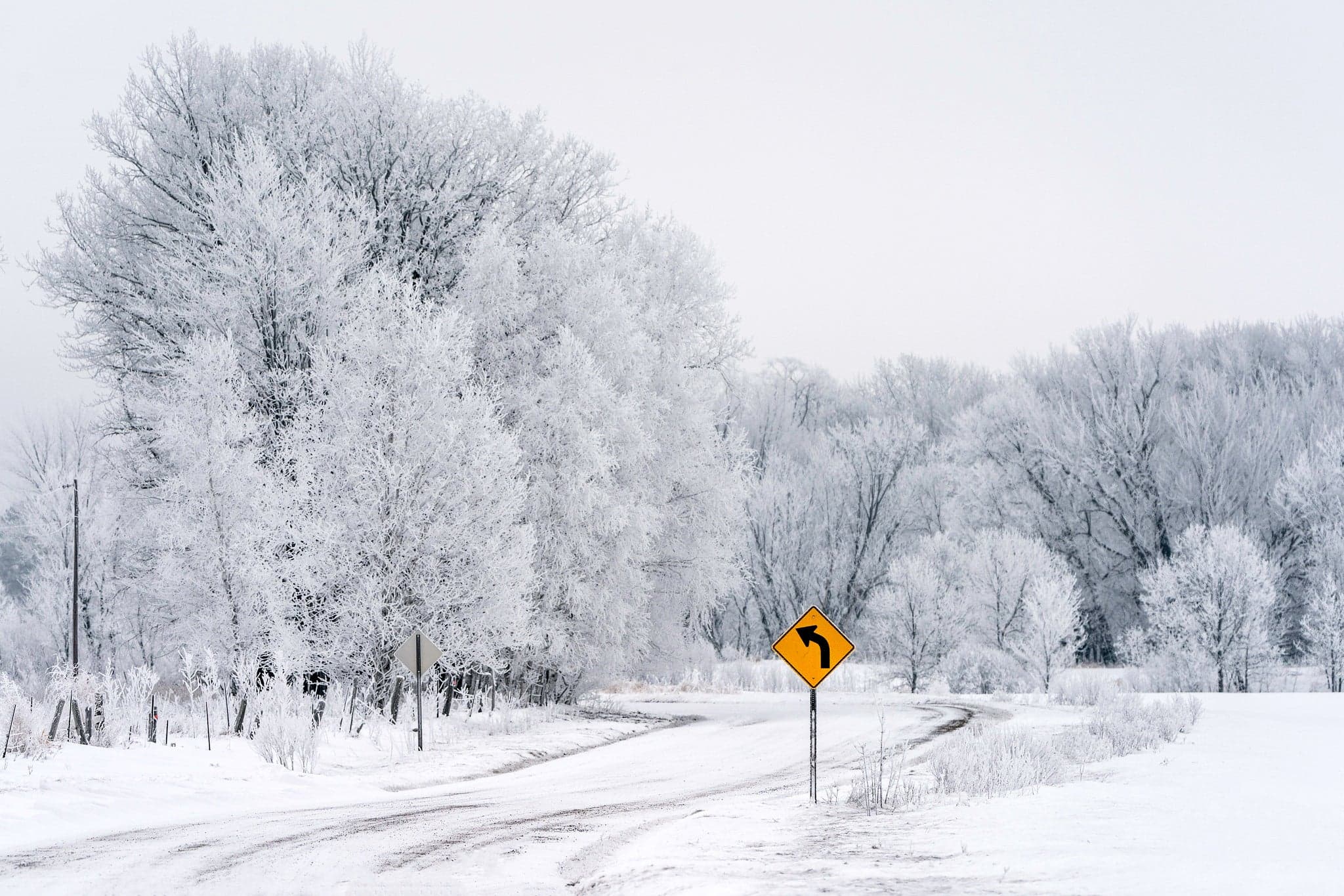 Songs of the season: Welcome winter with this festive playlist; Larry Meiller announces retirement