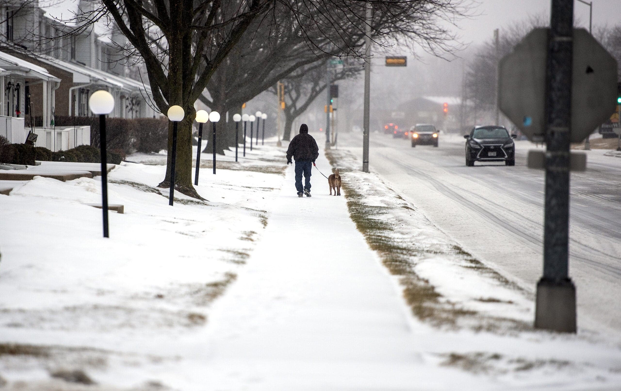Winter complicates dog walking, and how to care for small mammal pets