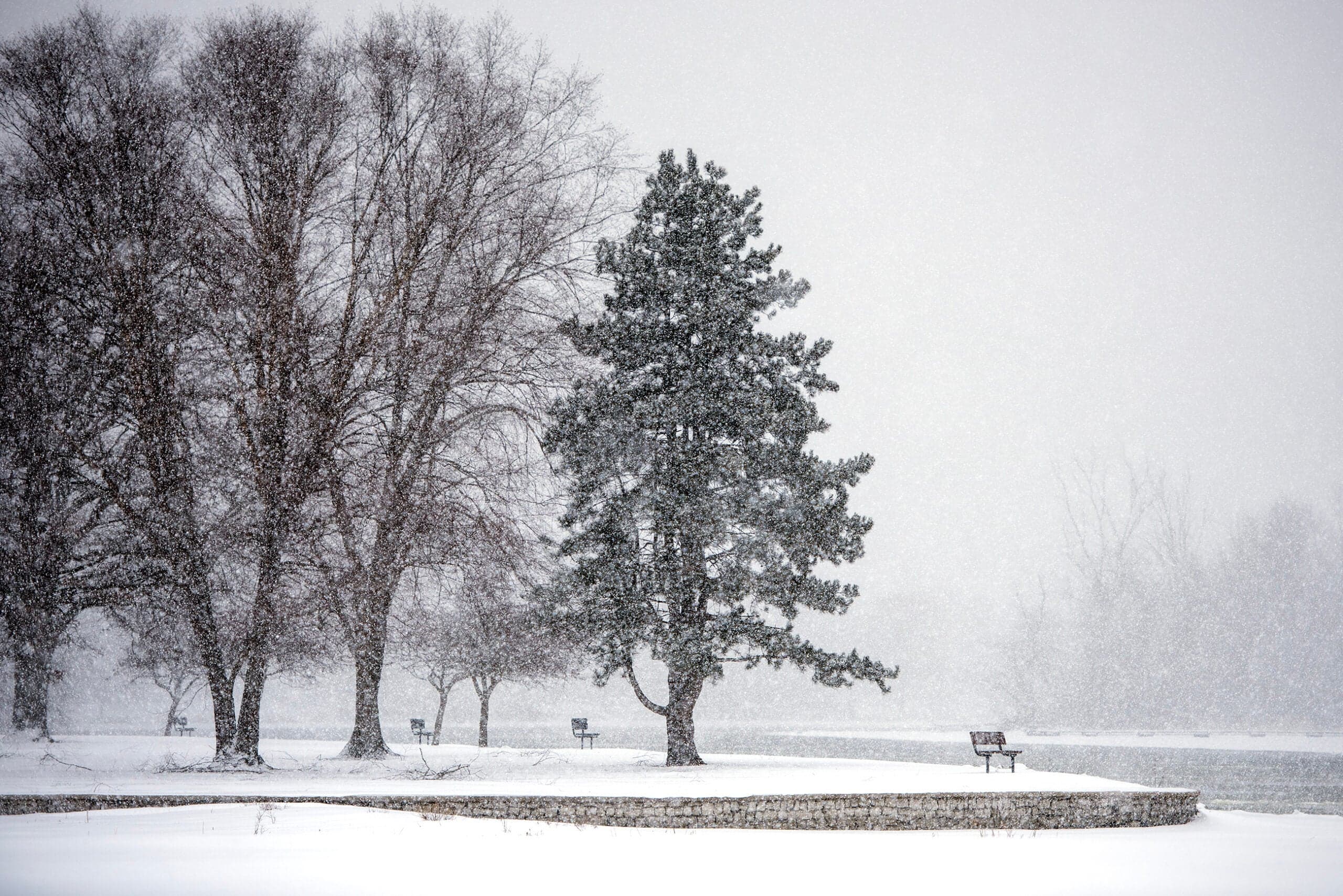 Dr. Zorba Paster shares holiday season health tips, Weather Guys talk snow, gales and Arctic warming