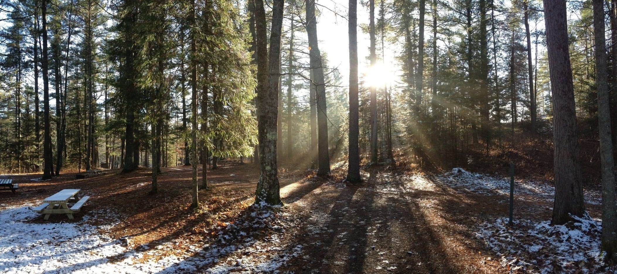 Outdoor writers review the biggest issues in wildlife management and conservation