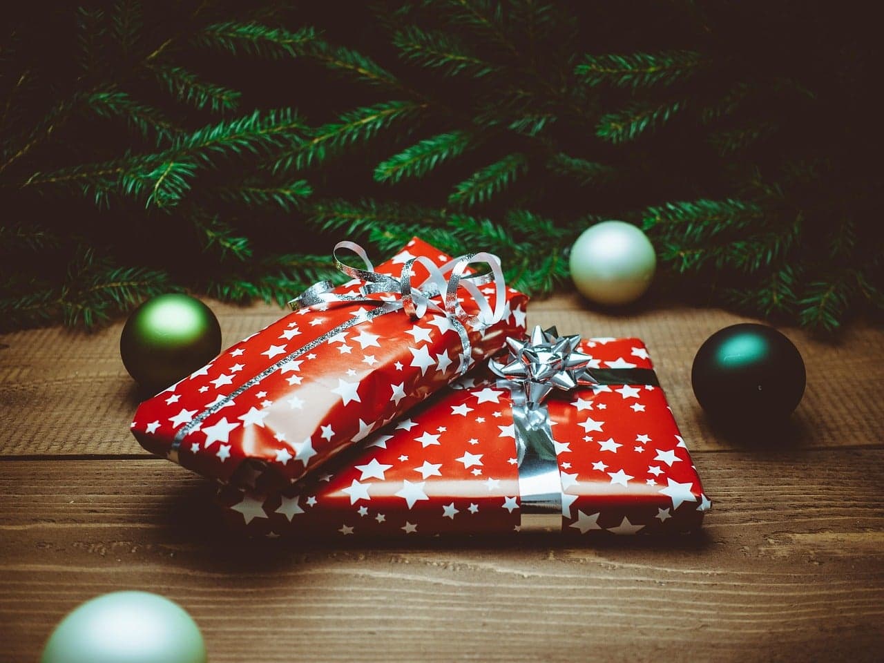 Garden Talk: 2025 gift guide for gardeners; How to select and care for a Christmas tree
