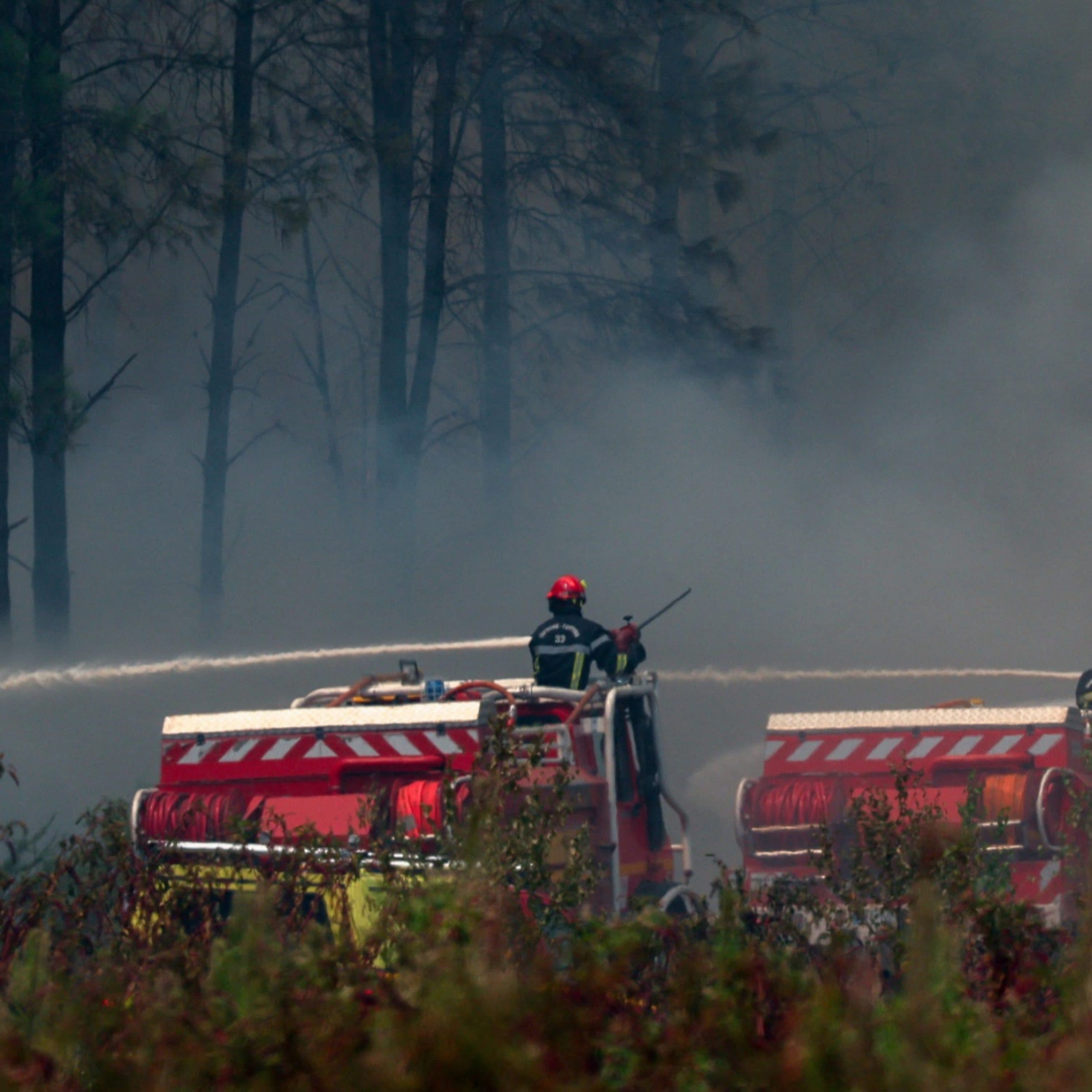 Wildfires in France and Spain force mass evacuations