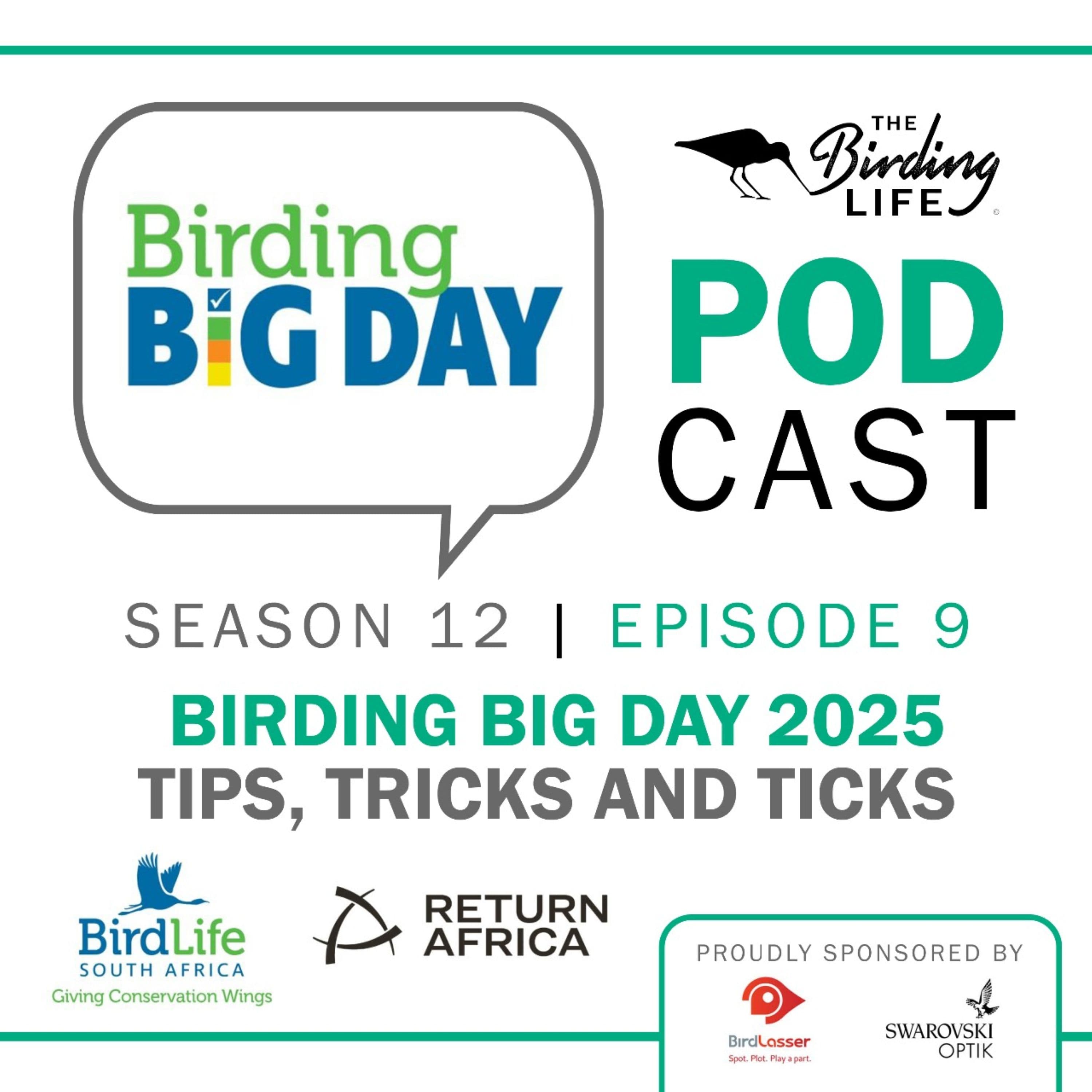 TBL Podcast Season 12 Episode 9 - Birding Big Day 2025 - Tips, tricks and ticks