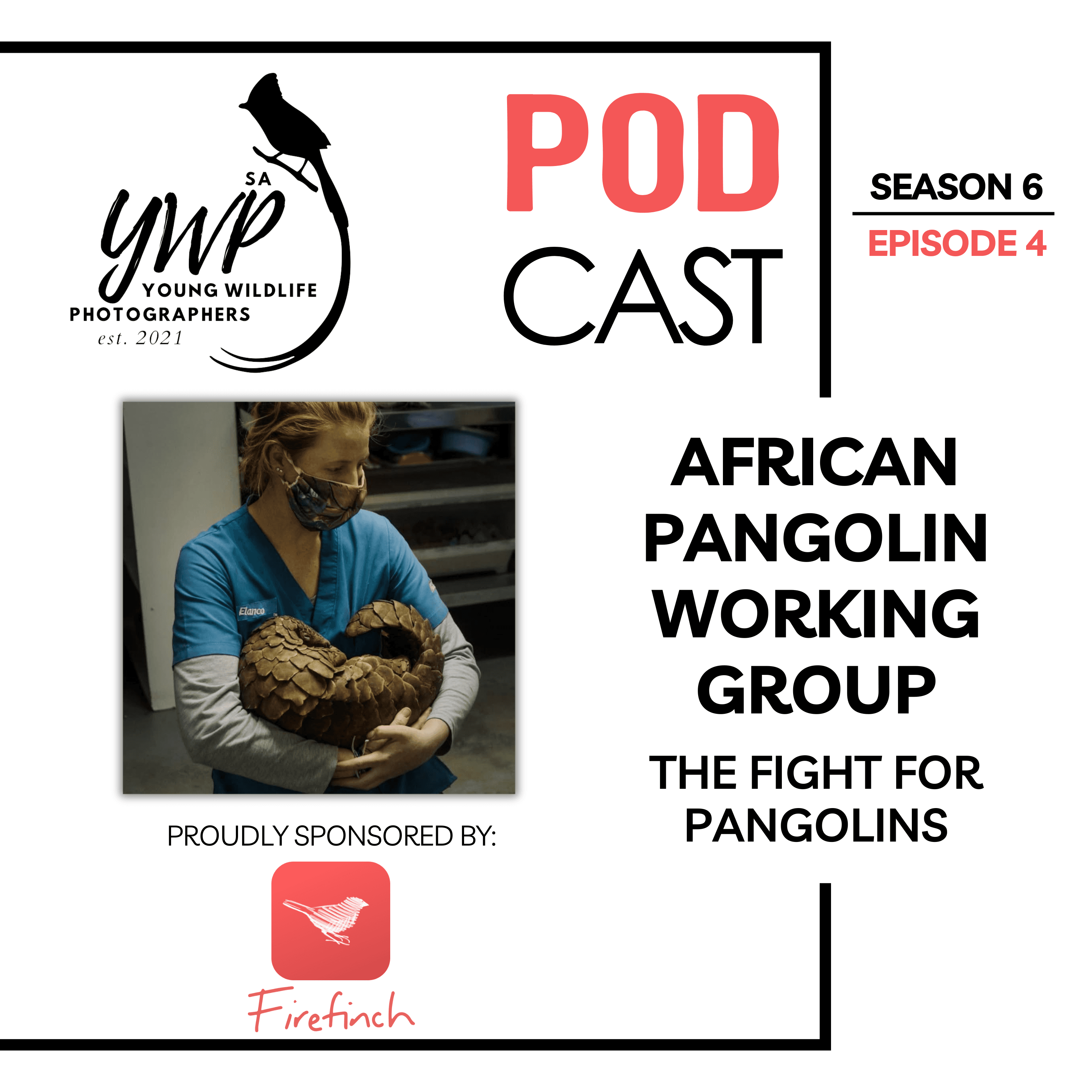 YWP Podcast - Season 6 Episode 4 - Small Actions, Big Impact: The Fight for Pangolins
