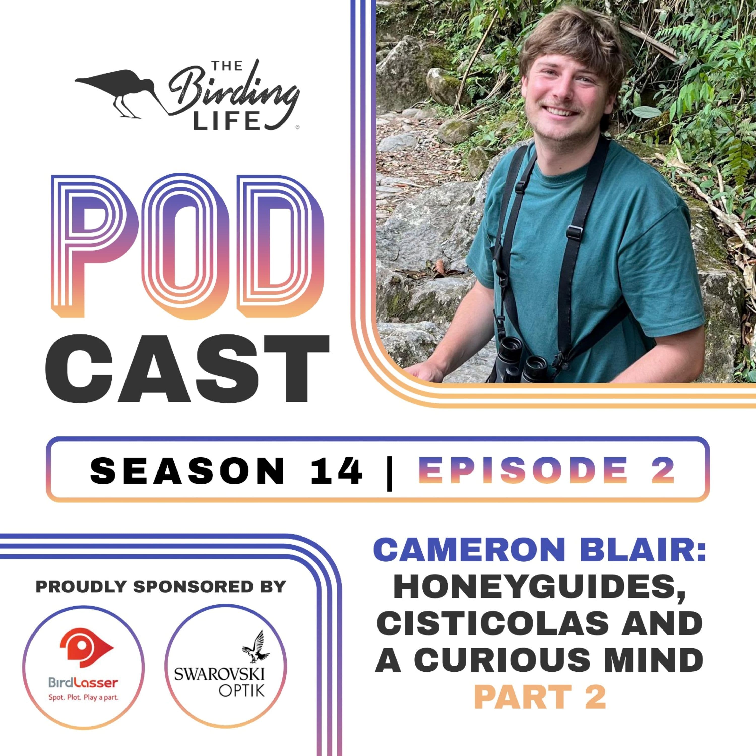 TBL Podcast - Season 14 Episode 2 - Cameron Blair. Honeyguides, Cisticolas and a Curious Mind. Part 2