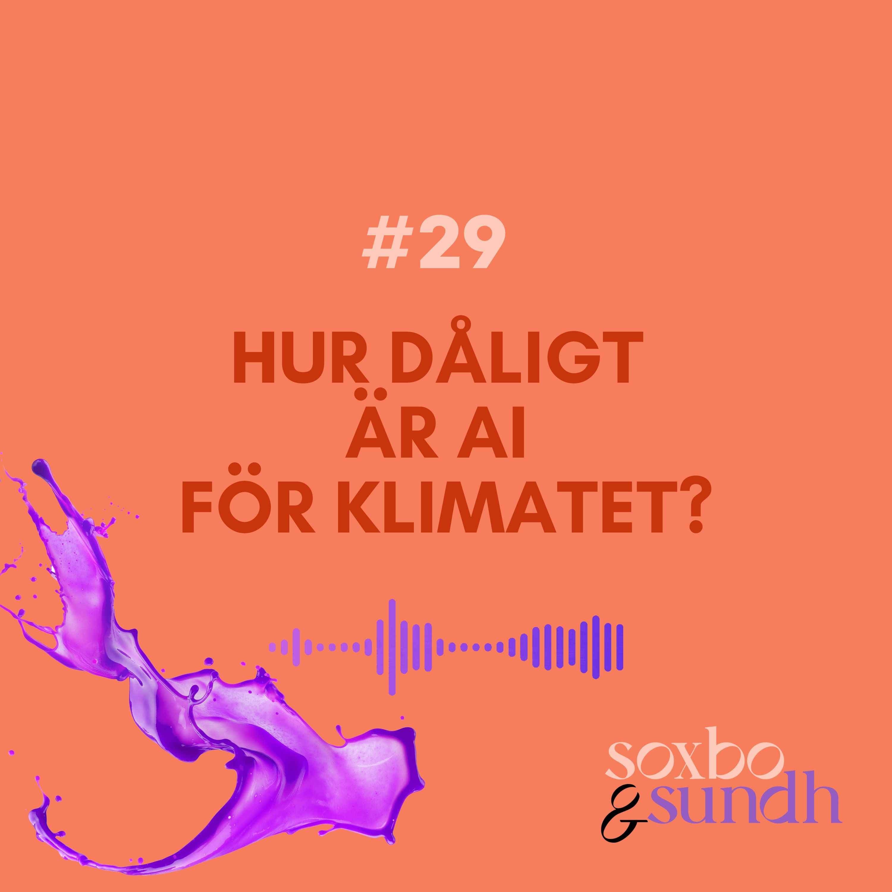#29 Hur dåligt är AI för klimatet?