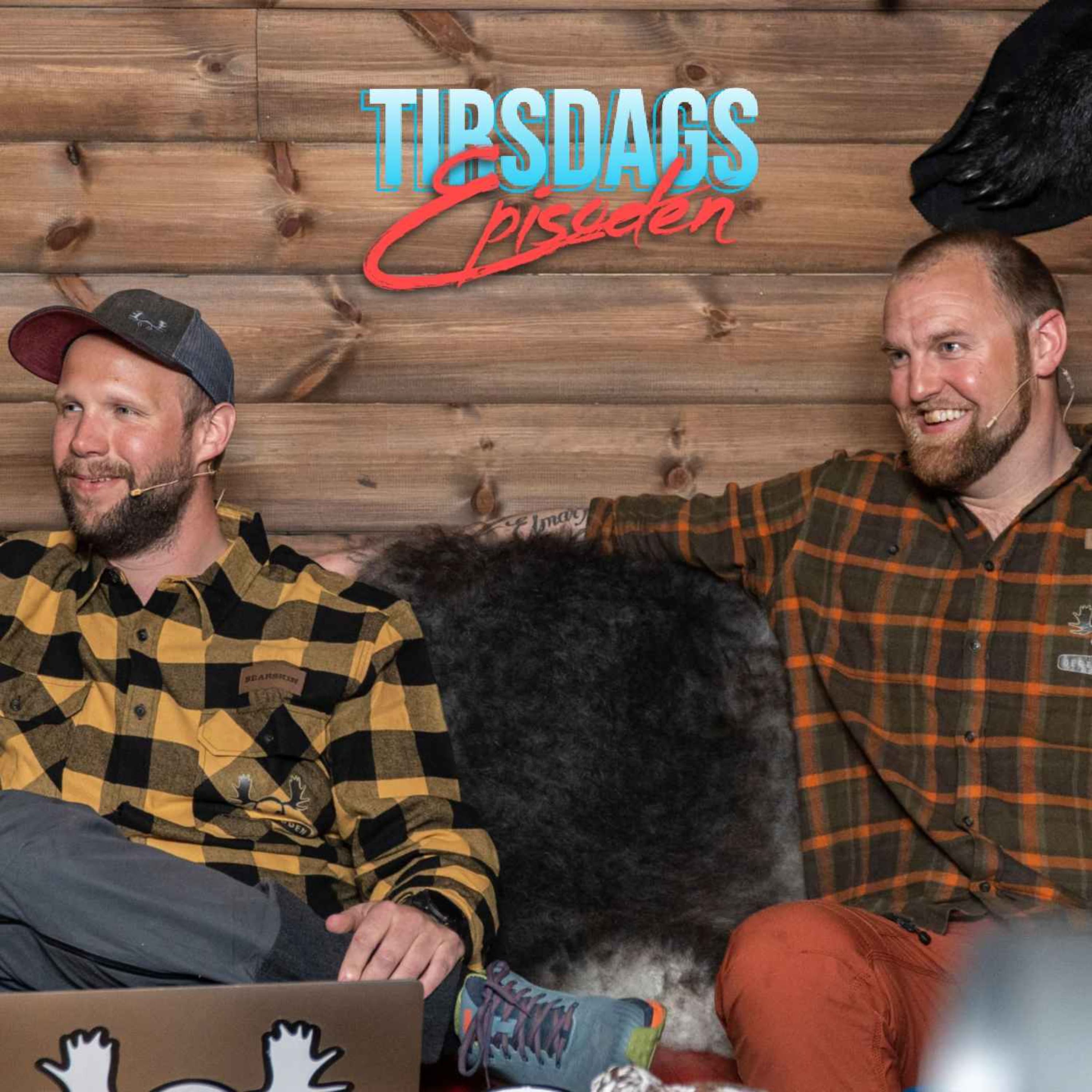 Valp, gaupespor, rettelse, Wrapd, influencer og juleferie