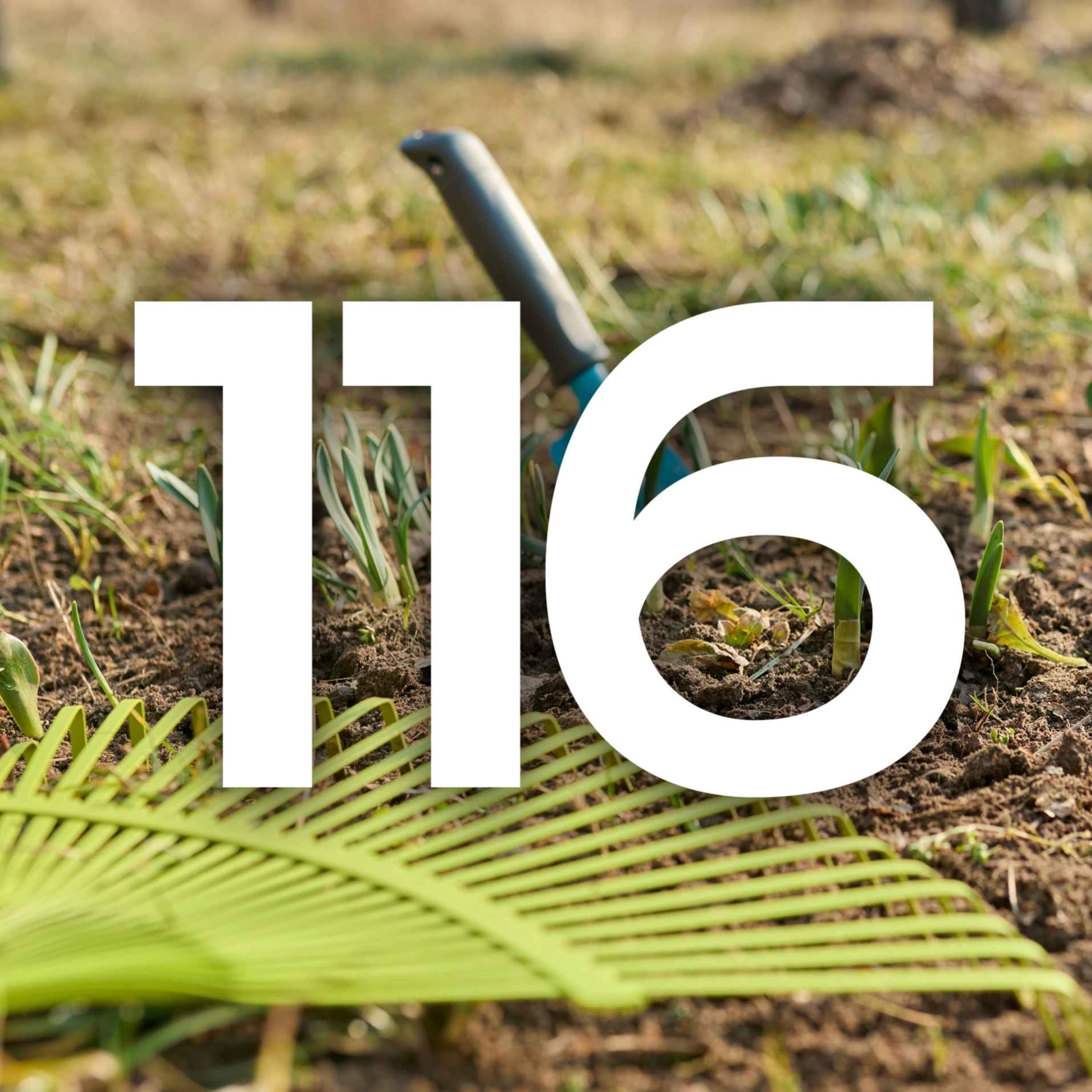116 - Jobs for February