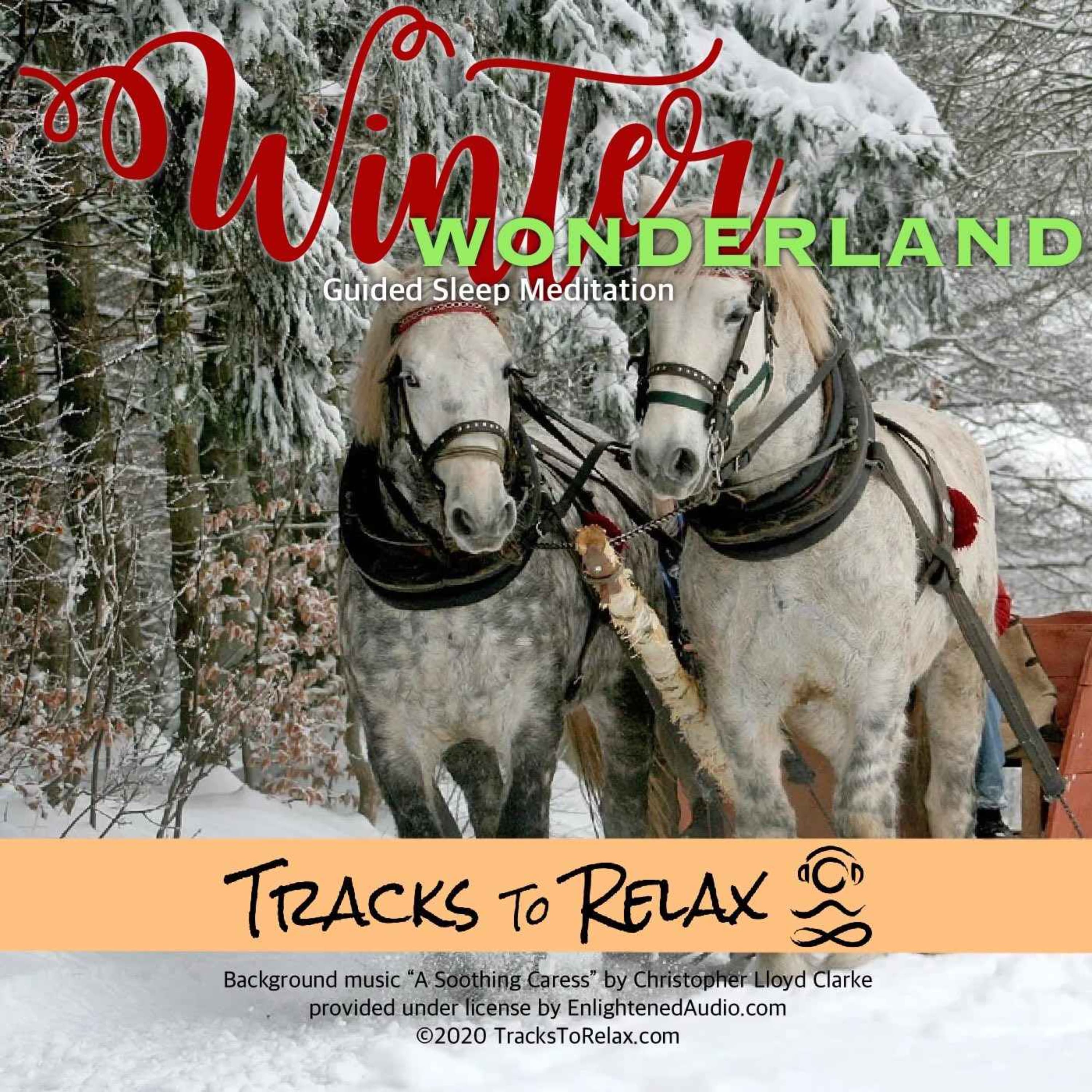 Winter Wonderland Sleep Meditation
