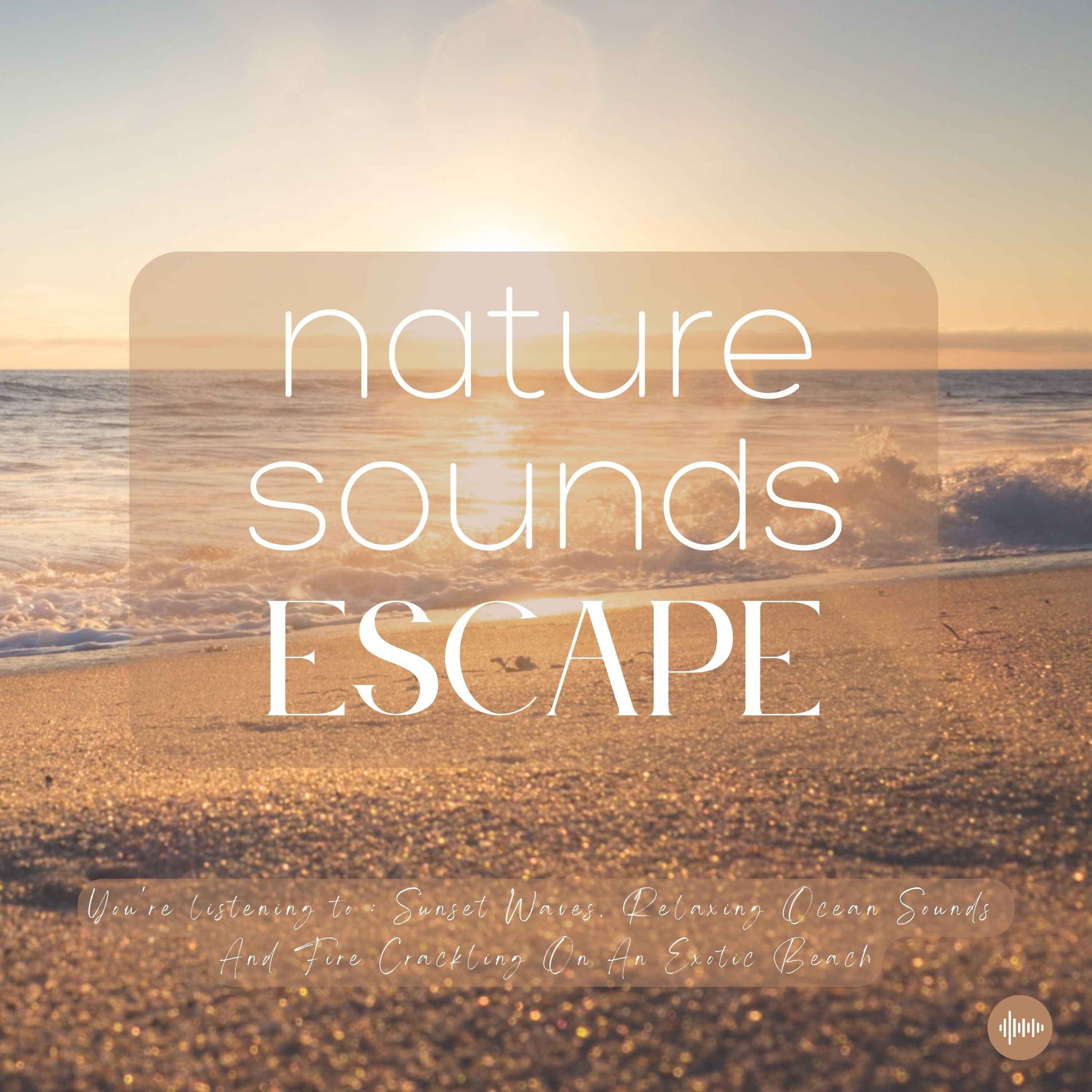 Sunset Waves, Relaxing Ocean Sounds & Fire Crackling On An Exotic Beach | Nature Sounds For Sleep, Meditation, Relaxation Or Focus | Sleep Sounds, Sleep Fast, Insomnia, Stress, Beach Soundscape, Bonfire, Rain, White Noise, Sounds Of Nature For Sleep, Zen